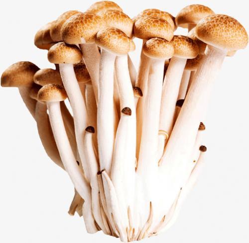 蟹味菇 150g