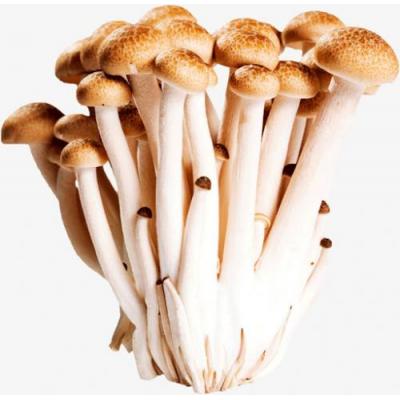 蟹味菇 150g