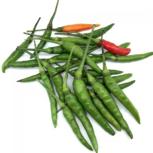小青辣椒100g