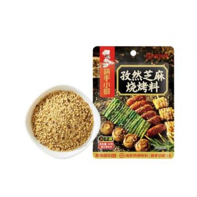 海底捞孜然芝麻烧烤料 40g