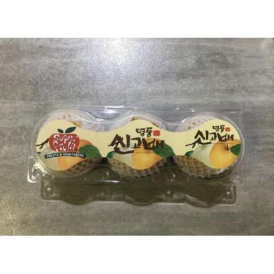 韩国三立梨（3）