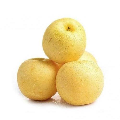黄金梨 (4)