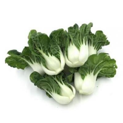 奶白菜 500g